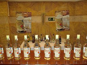 2015 06 06 et 07  APNA A DALIAS ALMERIA  (24)